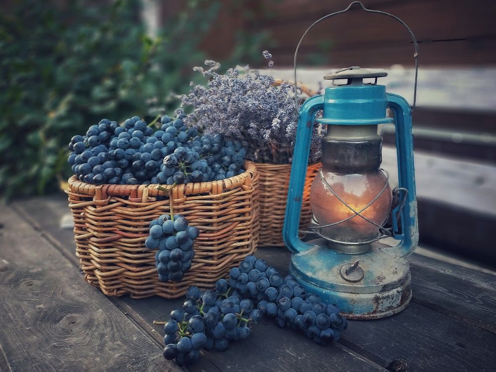 Photograph by Ольга Мартьянова