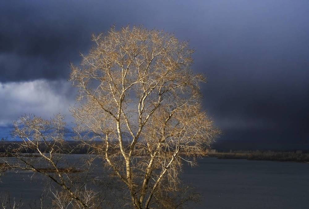 Photograph by Елена Ворошина