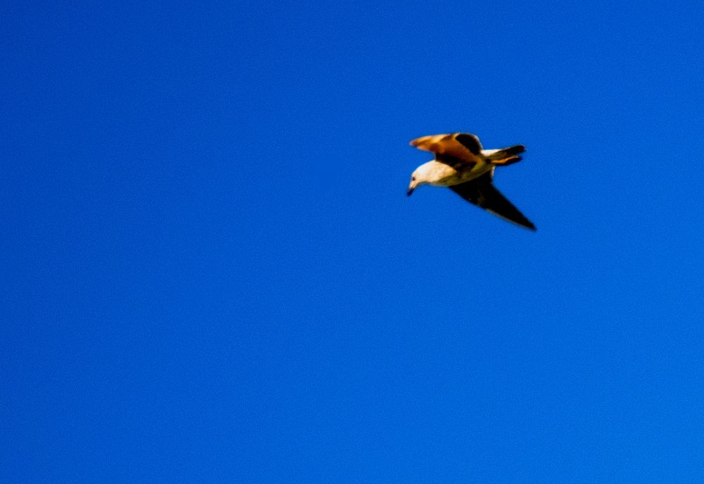 Photograph by Maria Julieta ZURZOLO