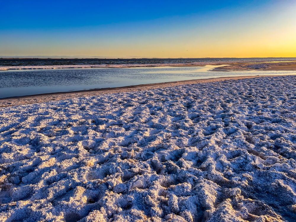 Photograph by Maria Julieta ZURZOLO