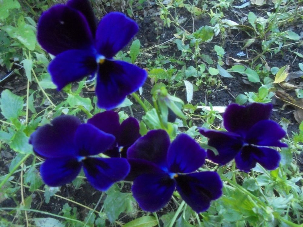 Photograph by Лилия Исхакова