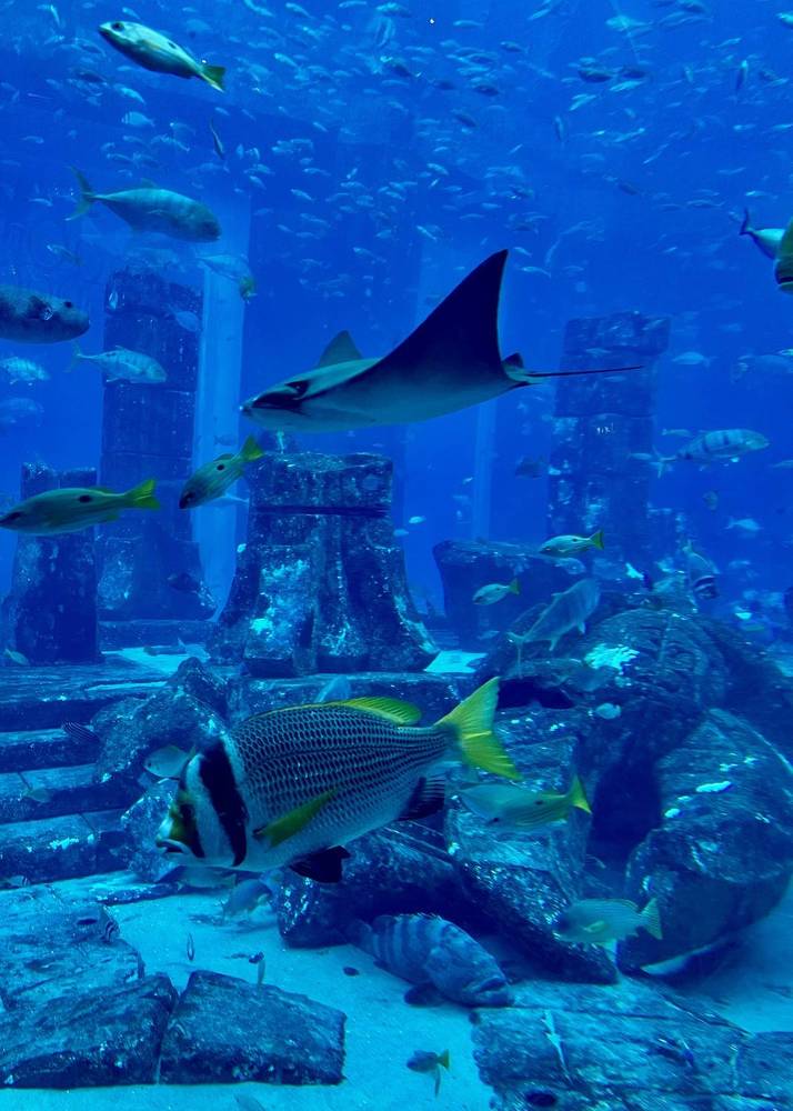 Photograph by Ольга Белоусова