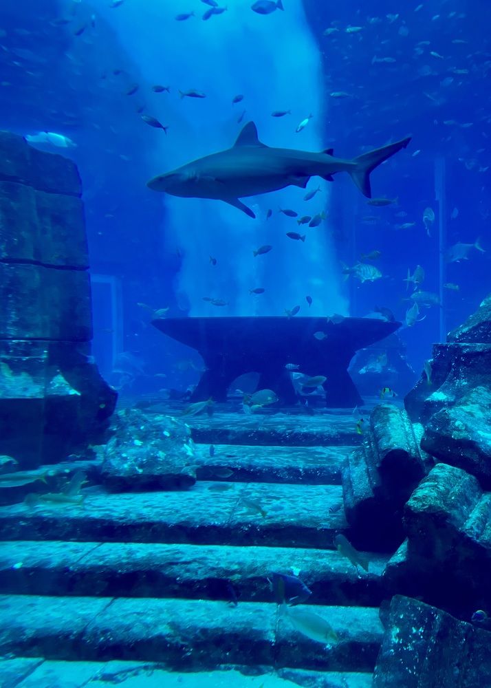 Photograph by Ольга Белоусова