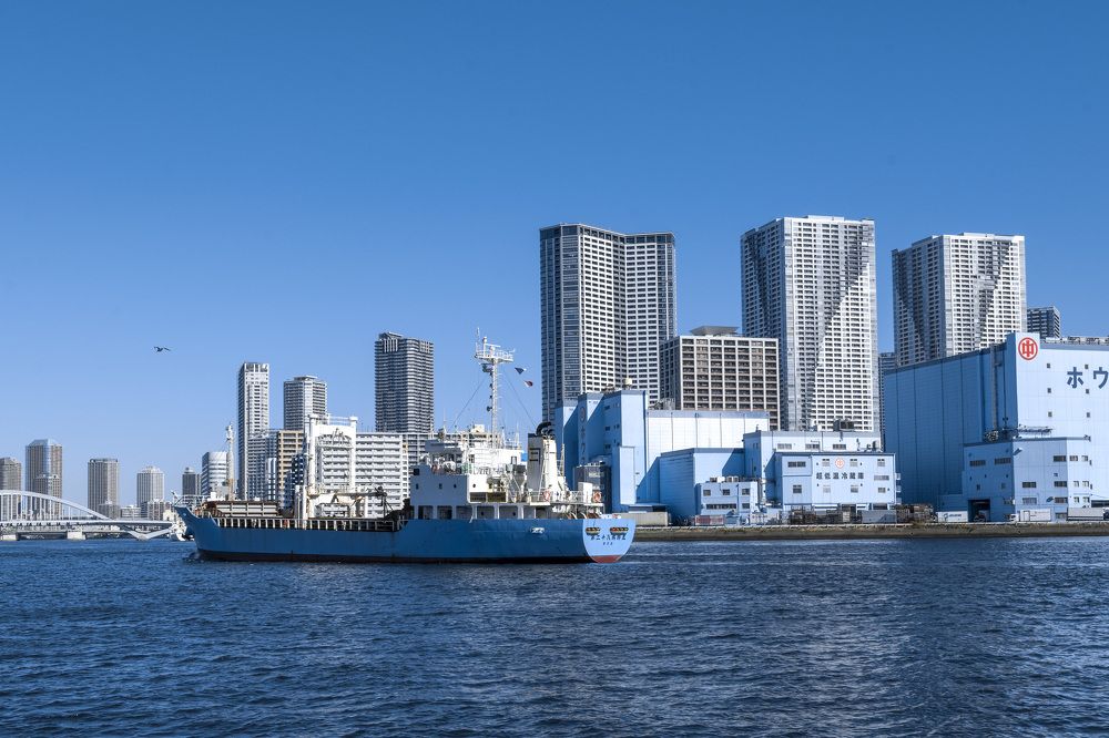 Photograph by Александр Журавлев