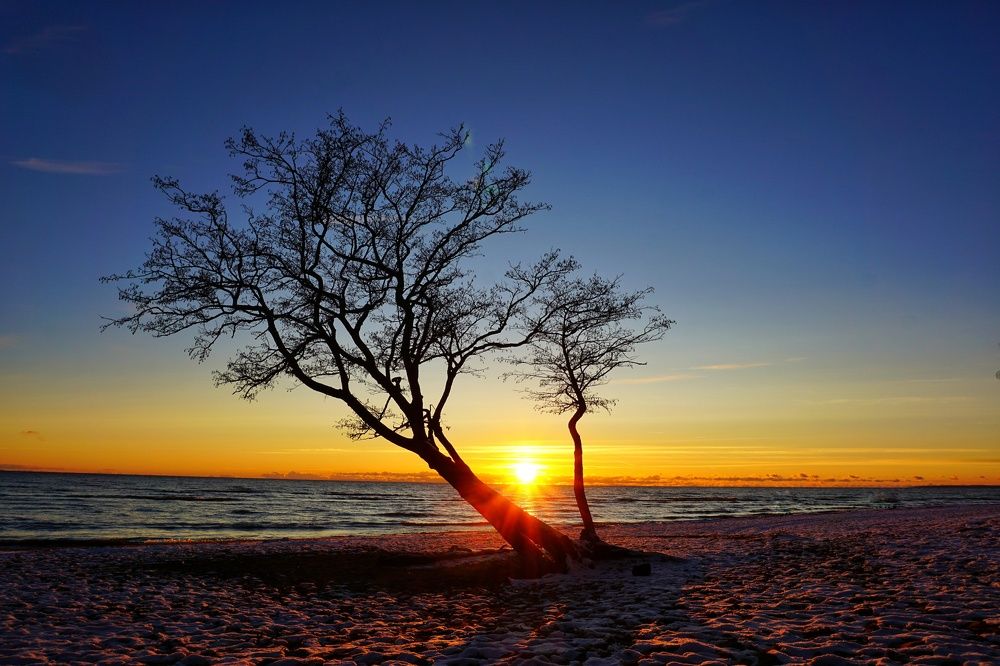 Photograph by Peshehod_ Plus