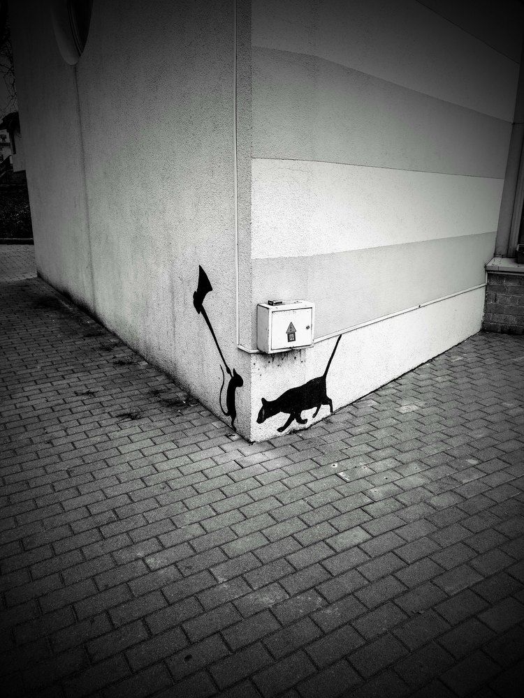 Фотография автора Aliaksandr Kazhdan