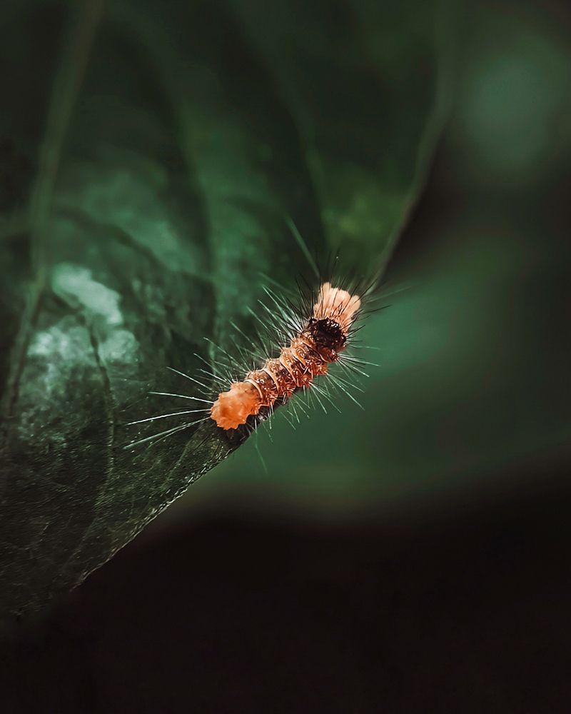 Photograph by Aaron R S