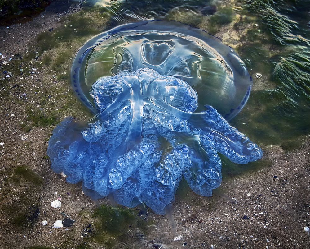 Фотография автора Александр