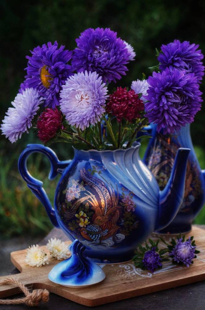 Photograph by Ирина Чувило