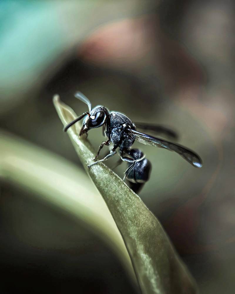 Photograph by Aaron R S