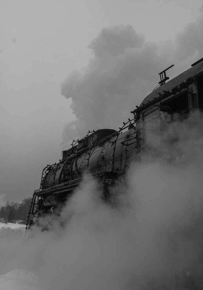 Photograph by Ксения Малютина