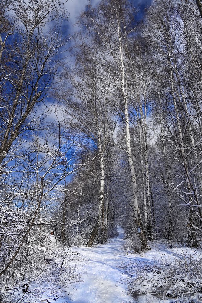 Photograph by Эд Голиков