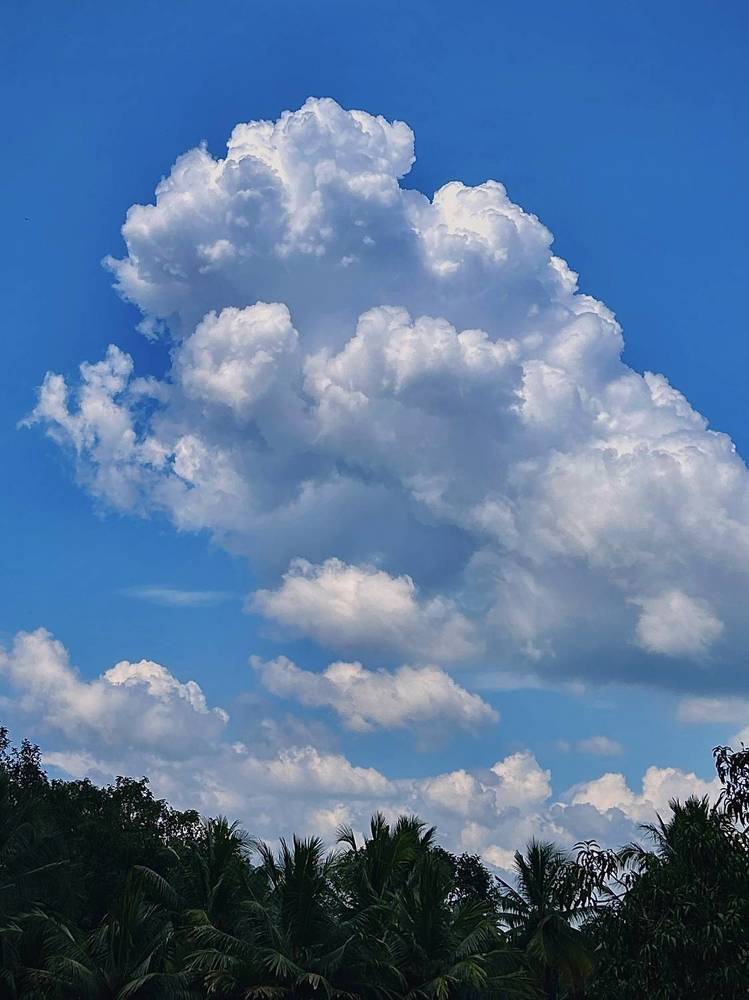 Photograph by Aaron R S