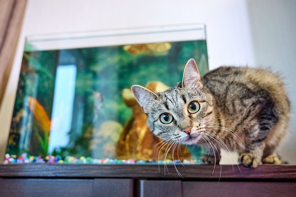 Photograph by Вербицкий Петр