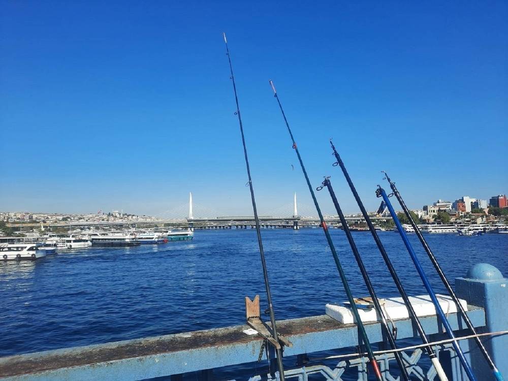 Photograph by Валерия Яскович