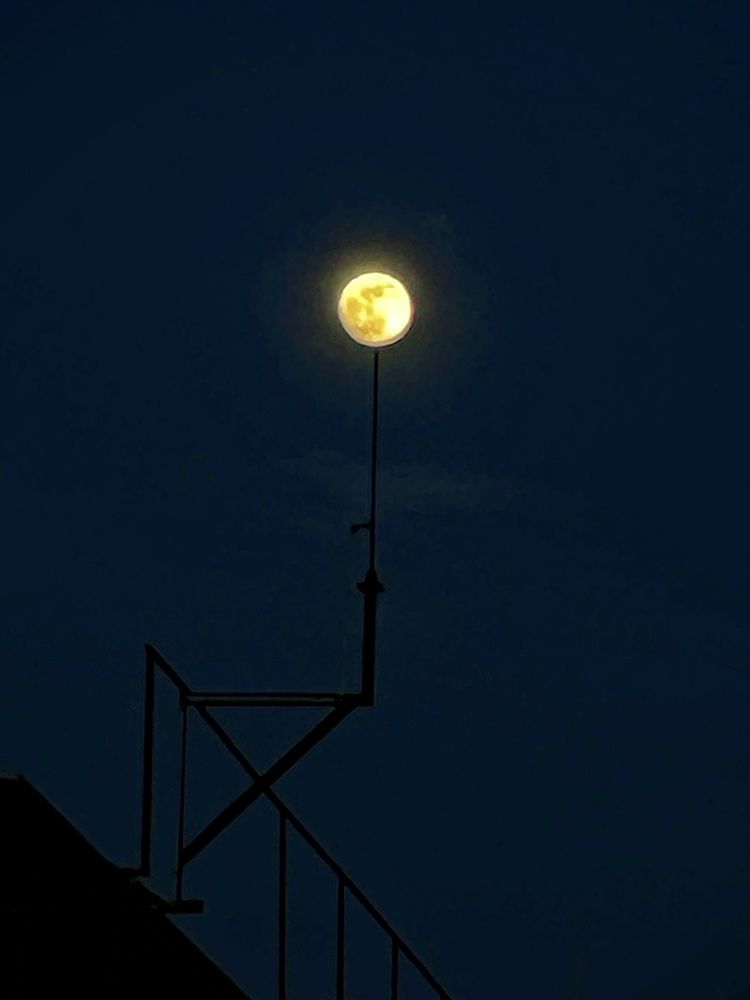 Photograph by Aaron R S