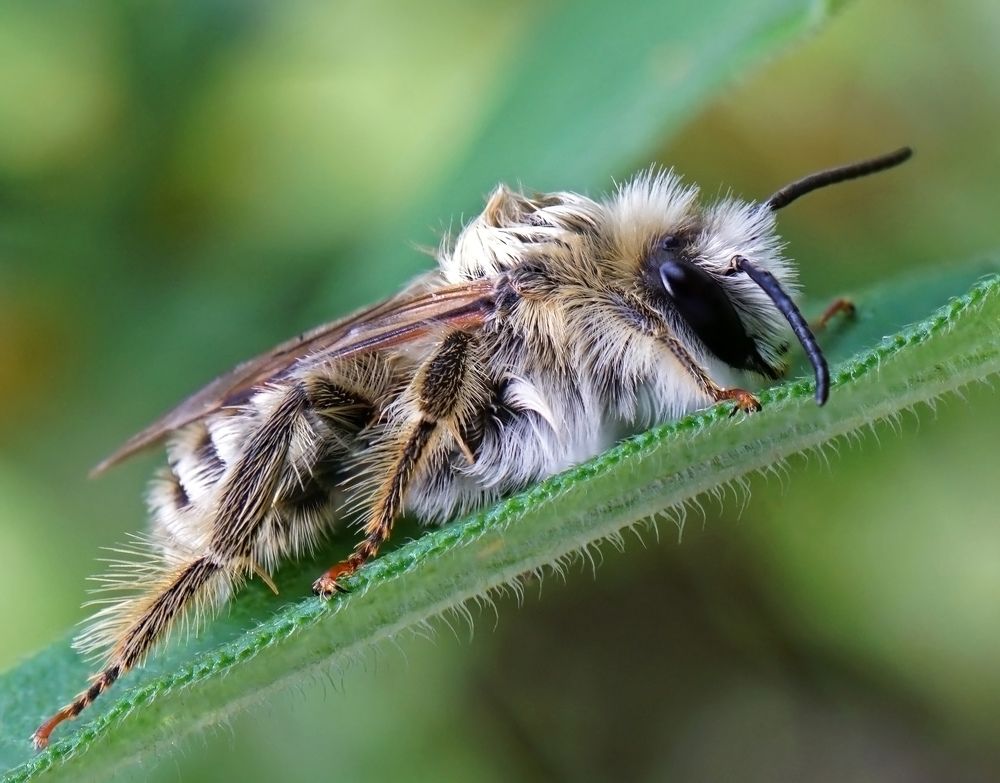 Photograph by Наталья Соколова