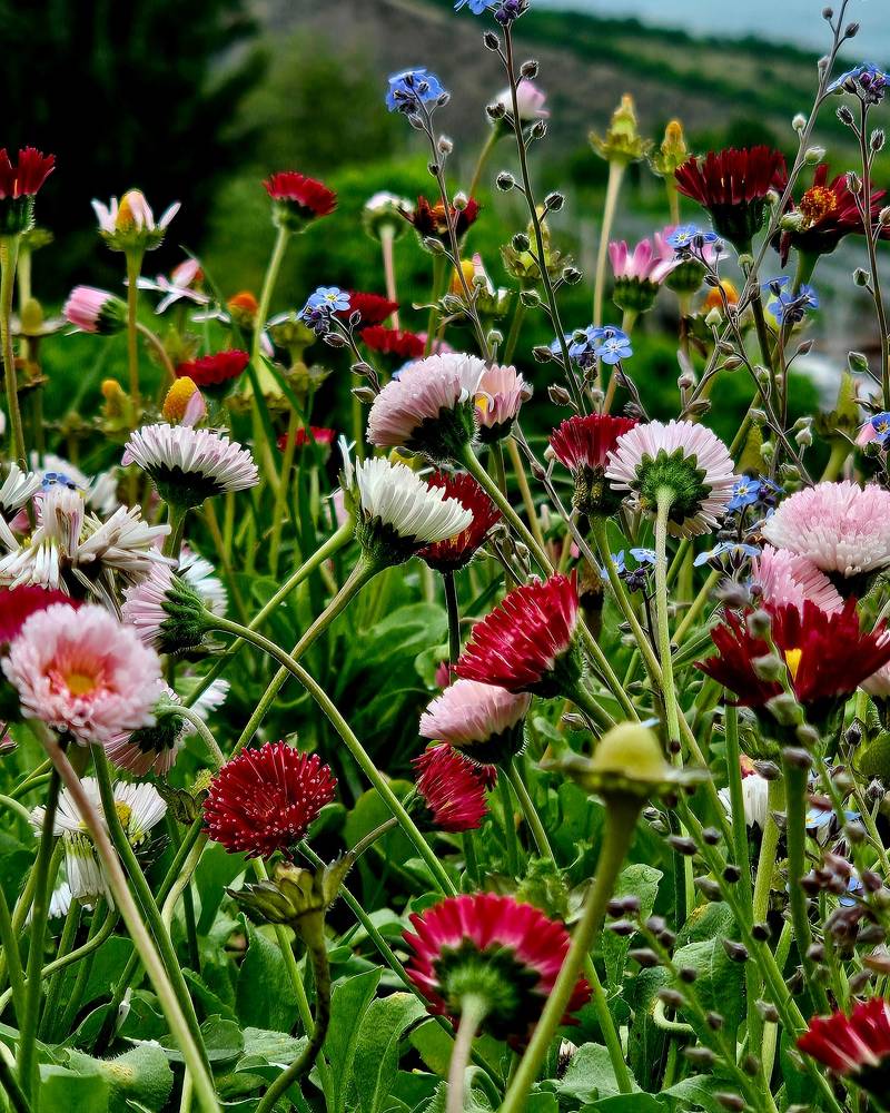 Photograph by Aliona KV