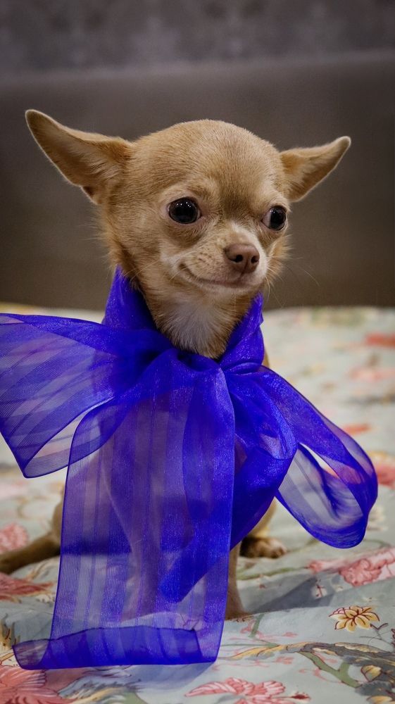 Photograph by Екатерина Слепнева