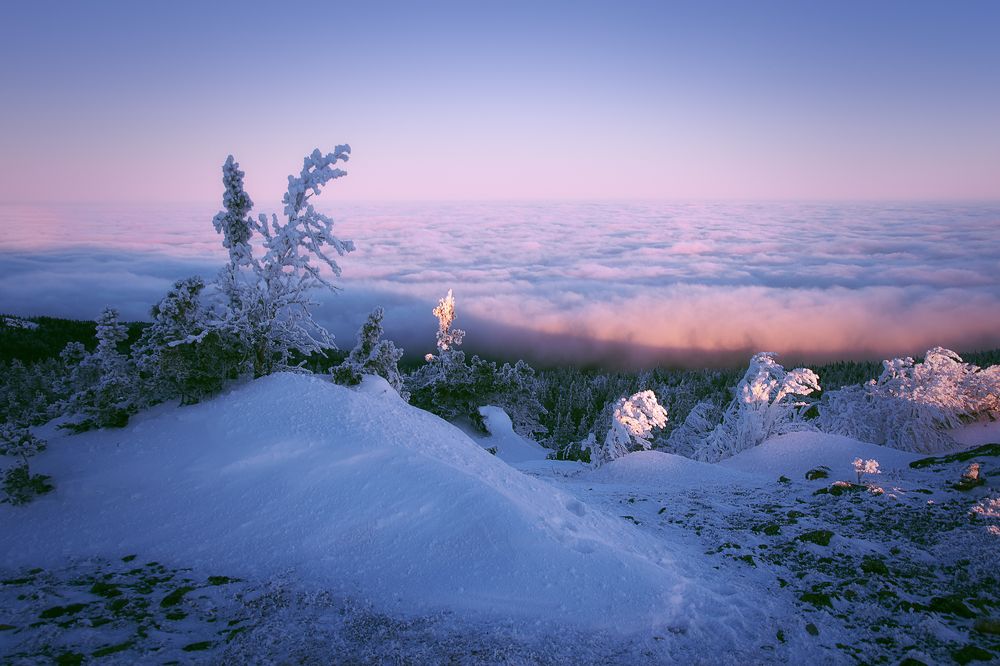 Минуты красок...