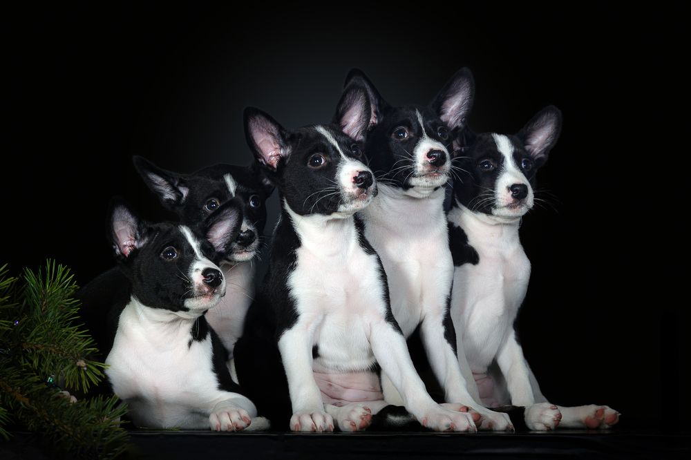 Photograph by Людмила Бандурина