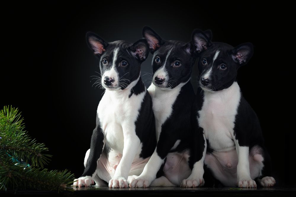 Photograph by Людмила Бандурина