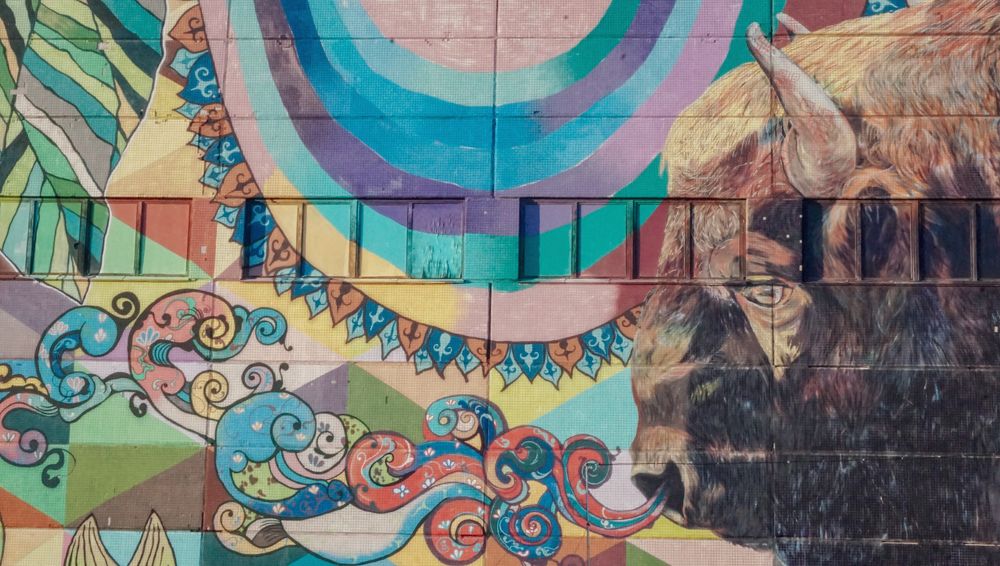 Photograph by Елена Пасажицкая