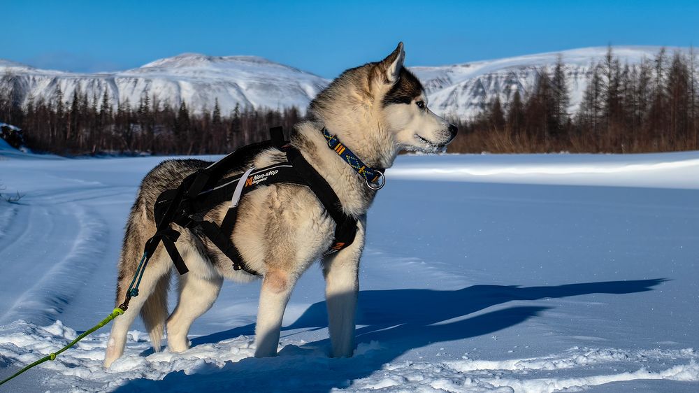 Photograph by Демьян Булавинец