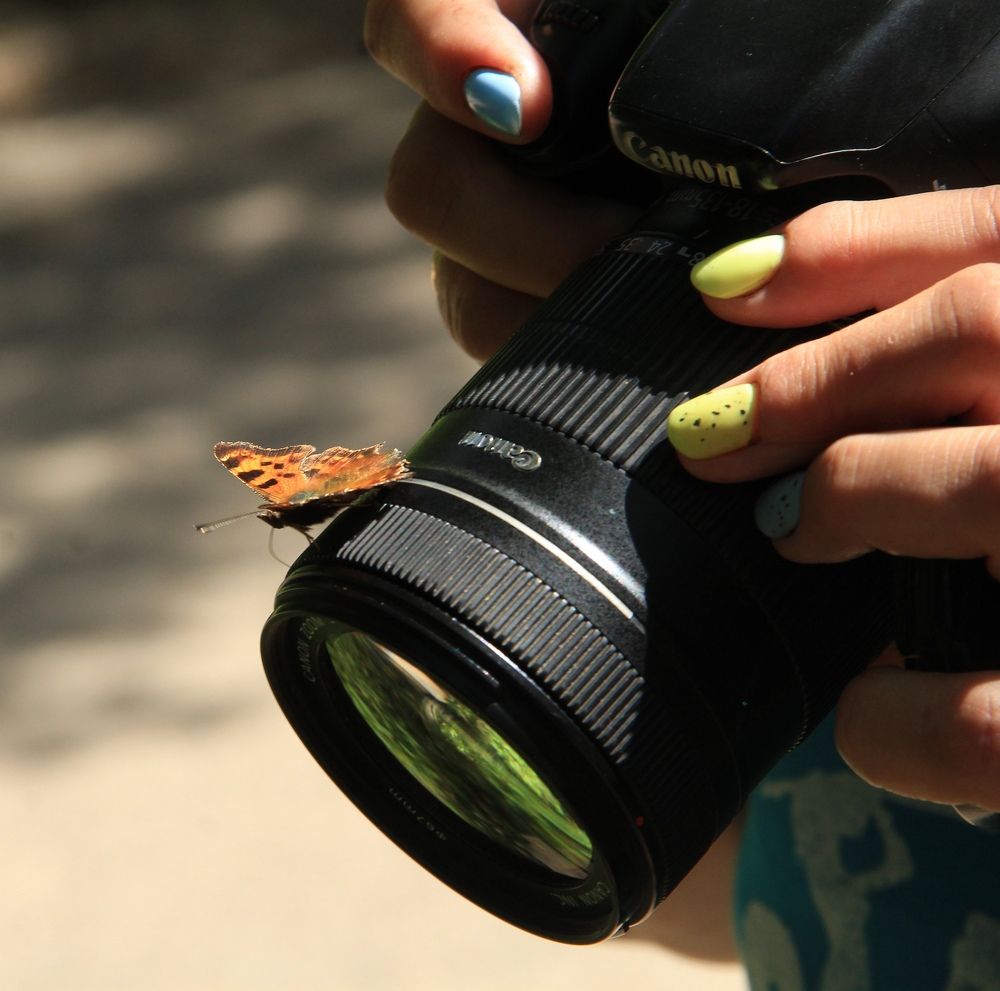 Photograph by Светлана