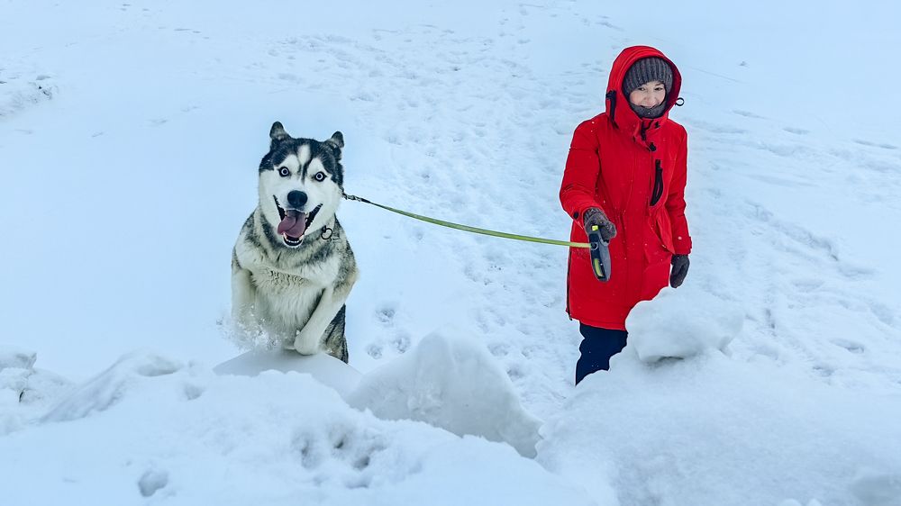 Photograph by Демьян Булавинец