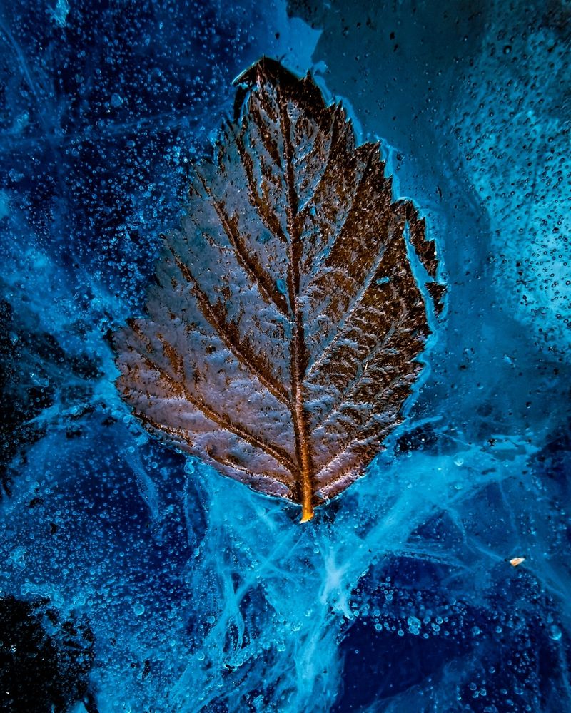 Photograph by Nikolett Mengyi