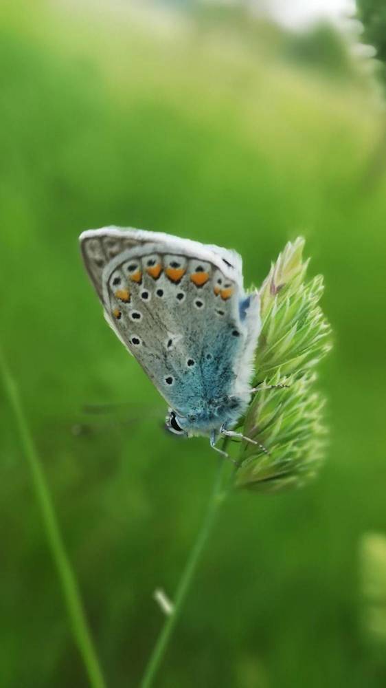 Photograph by Nikolett Mengyi