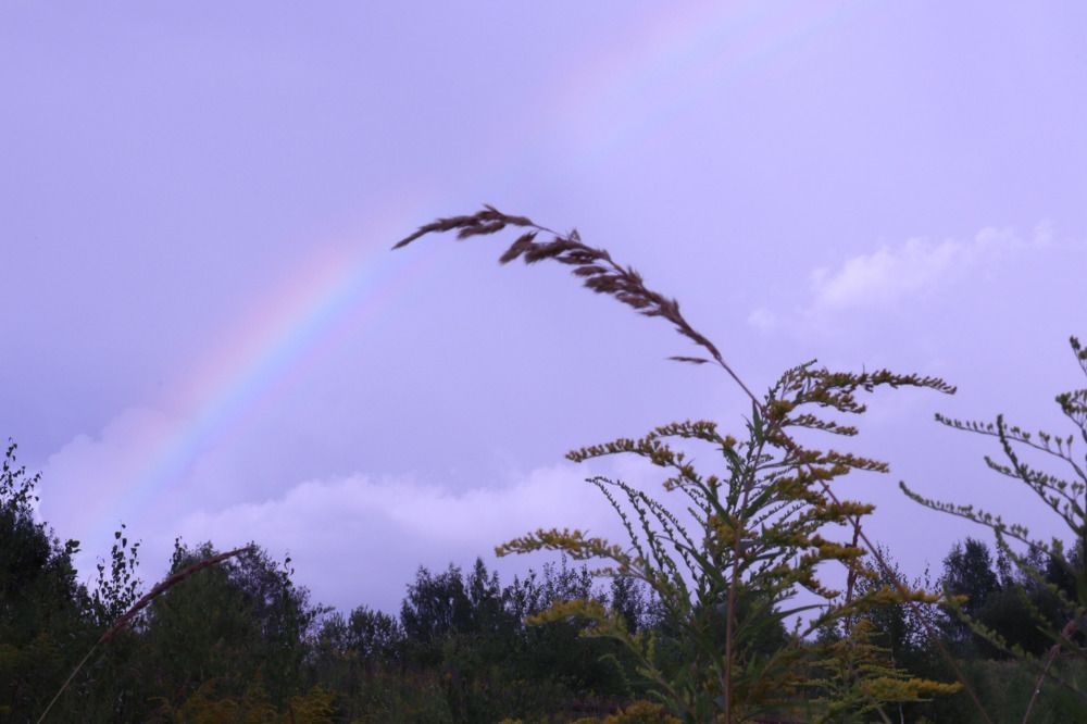Photograph by Иван Лукичев