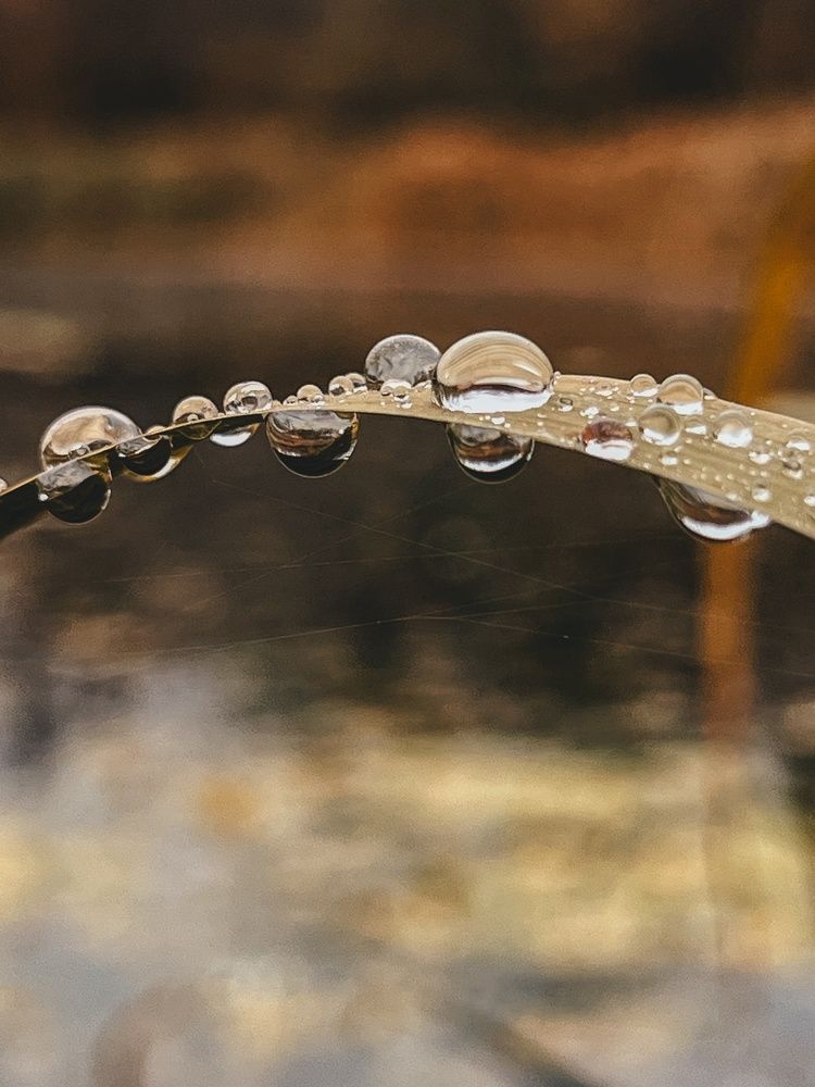 Photograph by Анна Михайловна