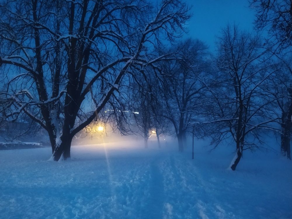 Photograph by Dragoslav Macanović