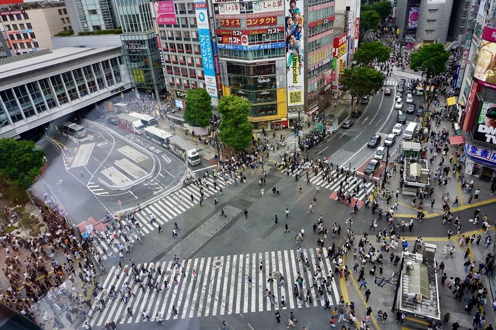 Фотография автора Liudmila Kiermeier