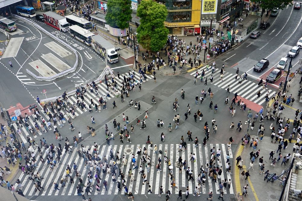 Фотография автора Liudmila Kiermeier