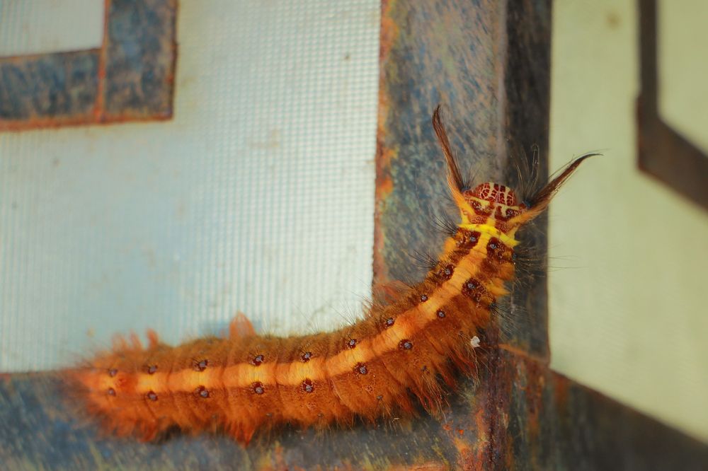 Photograph by Людмила Савчук