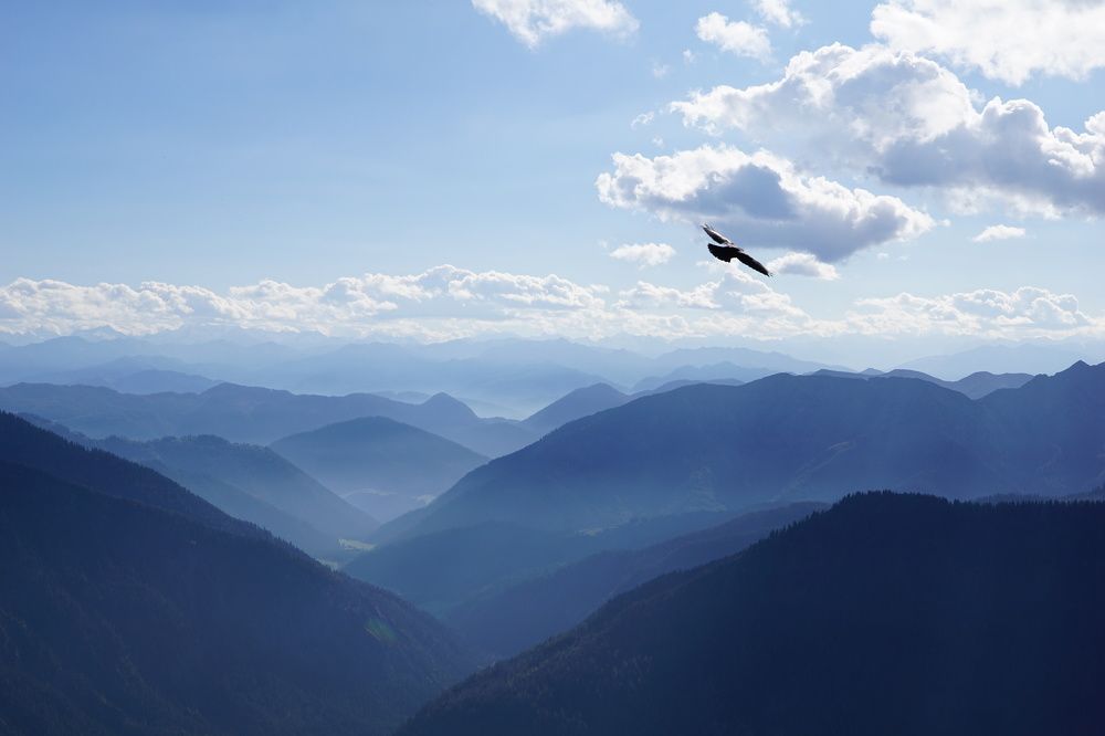 Фотография автора Liudmila Kiermeier