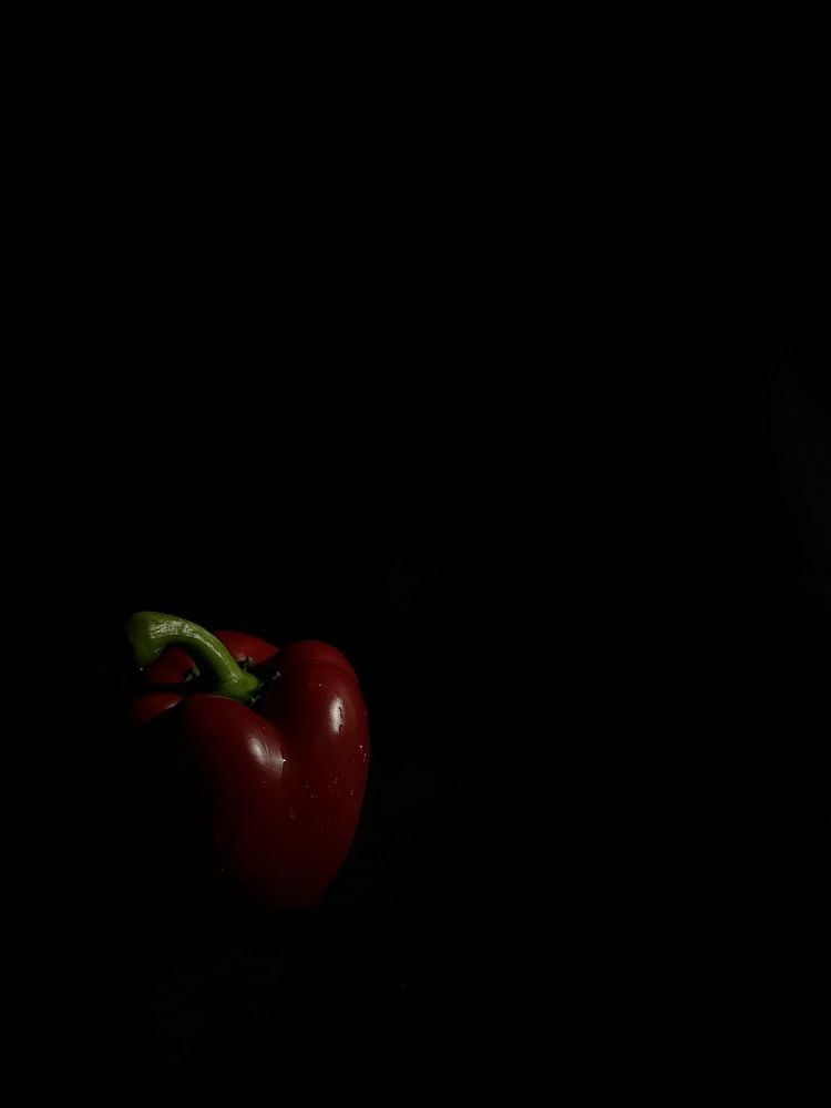 Фотография автора Ольга Васильева