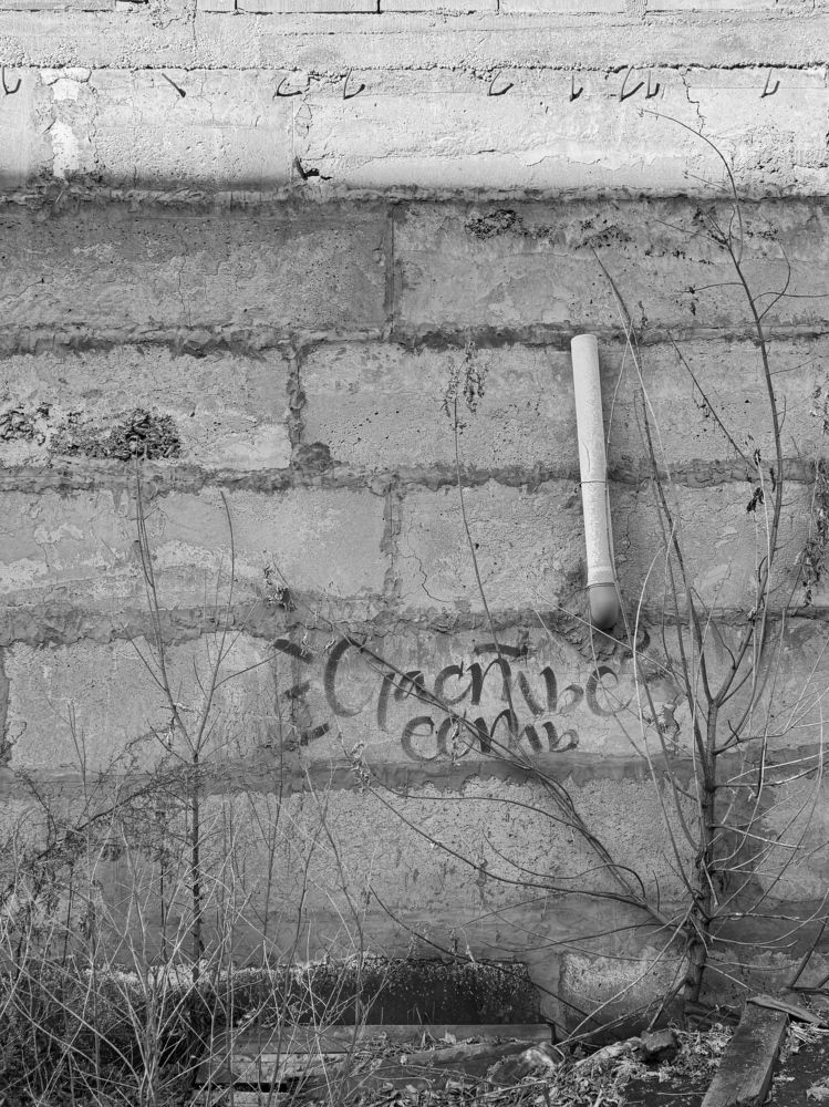 Фотография автора Ольга Васильева