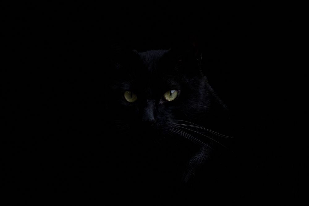 Photograph by Ni Bruce