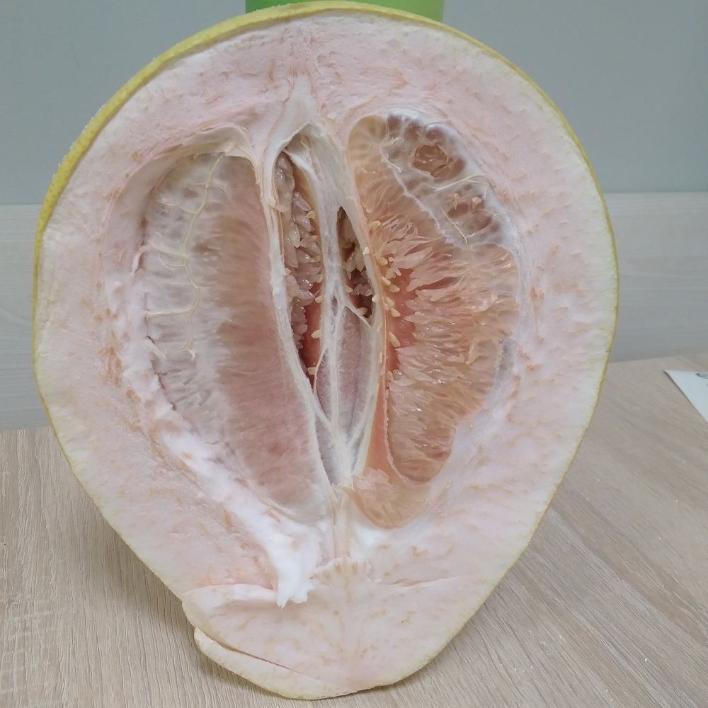 Photograph by Марта Васильева