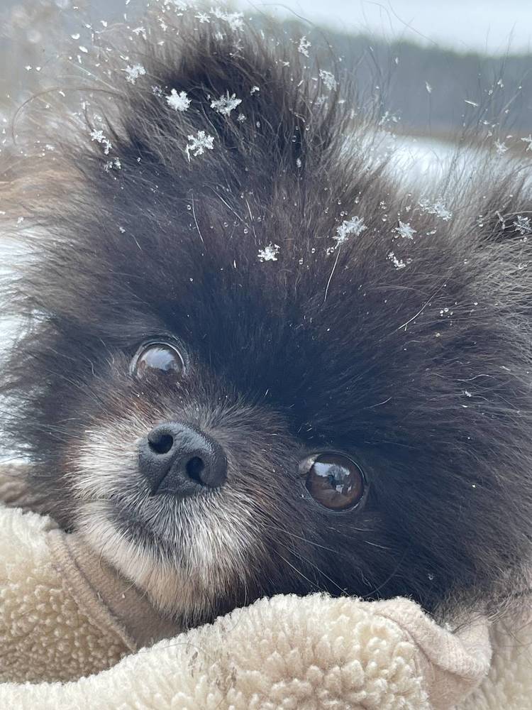 Photograph by Екатерина Павловец