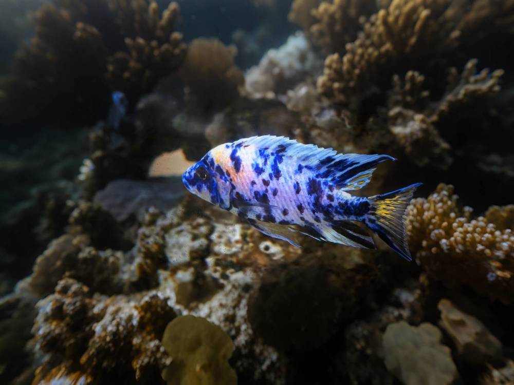 Photograph by Сергей Зайцев