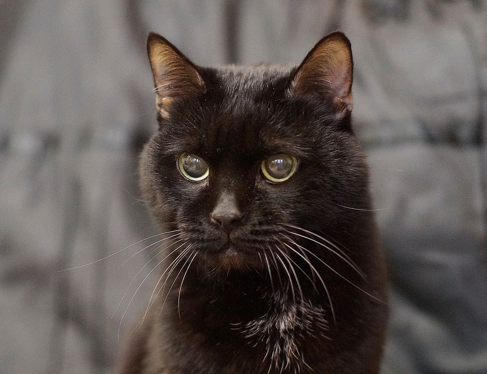 Photograph by Светлана Логинова