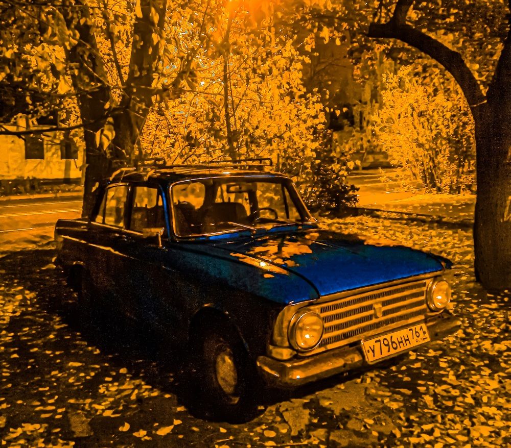 Фотография автора Дарья Новгородцева