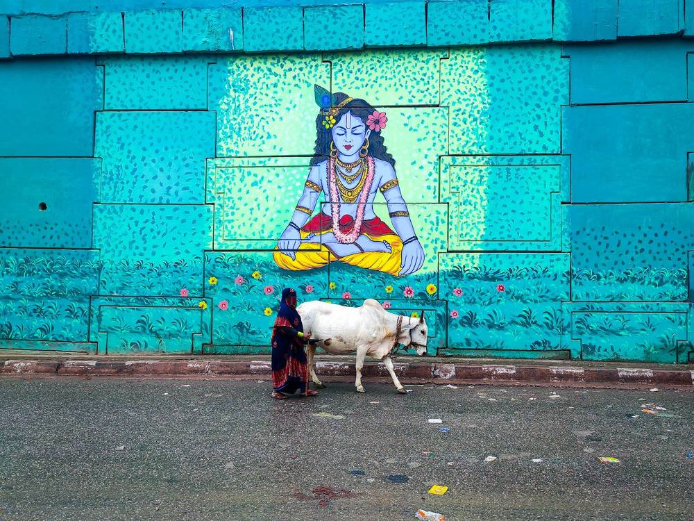 Photograph by HARSHIT MISHRA