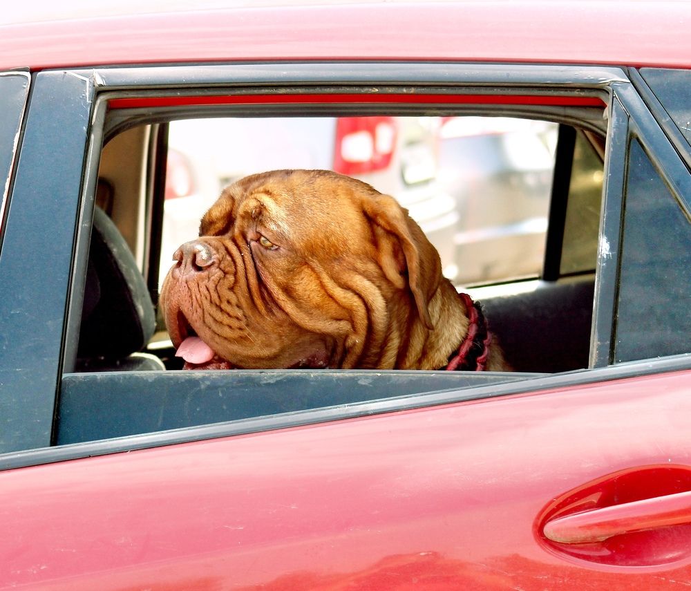 Опять попал в пробку...