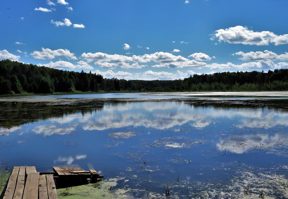 Пруд в деревне Дворец